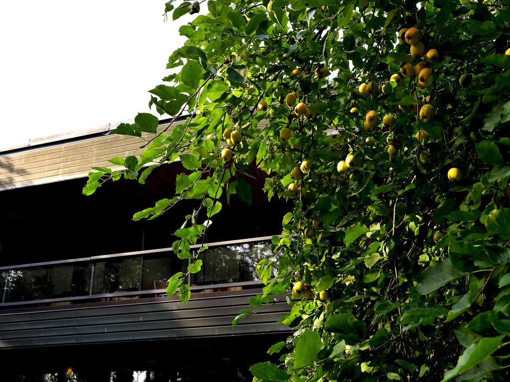 Hotel Fjalar Salo  Zewnętrze zdjęcie